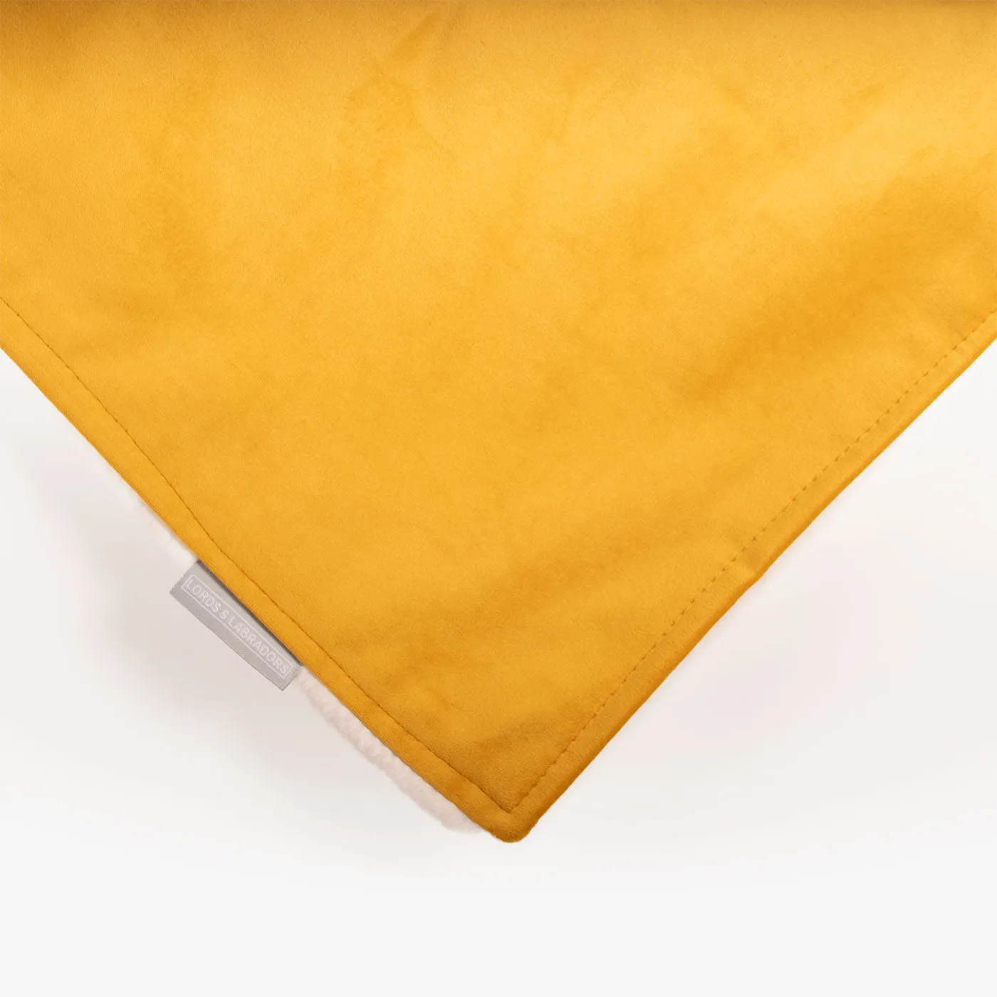 Dog & Puppy Blanket in Saffron Velvet by Lords & Labradors