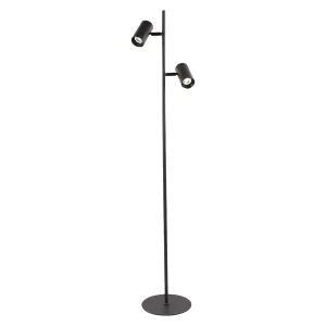 Hedin 2-Light LED Floor Lamp