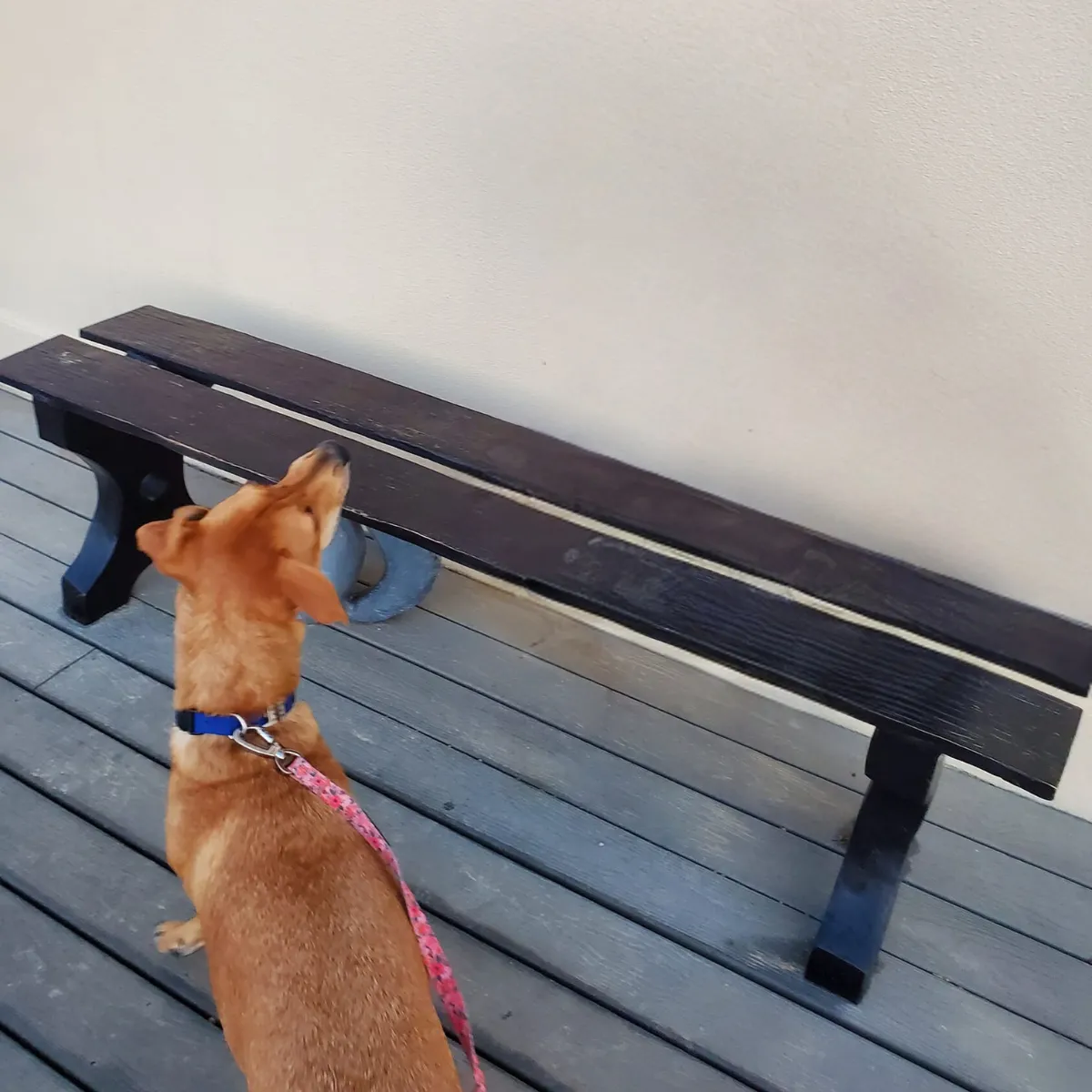 Long Backless Bronze Bench