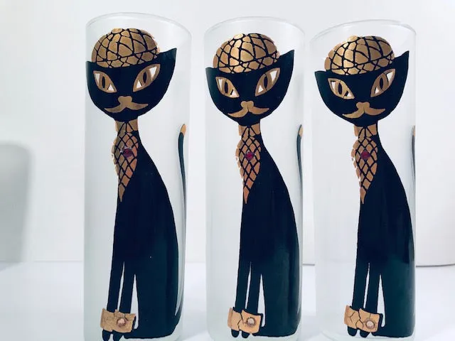 Maida Amour Hipster Siamese Cat Tall Collins Glasses (Set of 6)