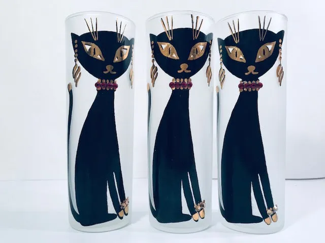 Maida Amour Hipster Siamese Cat Tall Collins Glasses (Set of 6)