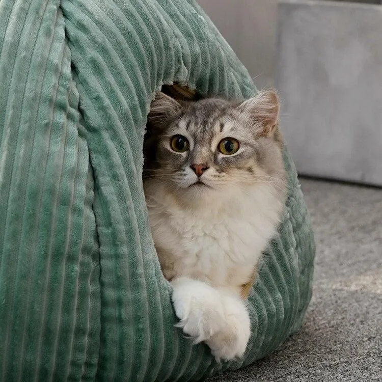 Pumpkin Palace Cat Cave Bed