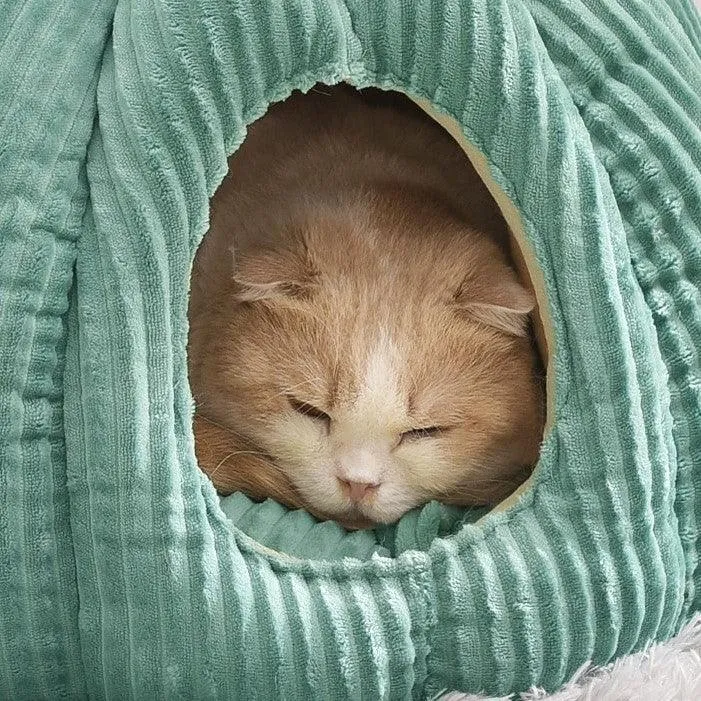 Pumpkin Palace Cat Cave Bed